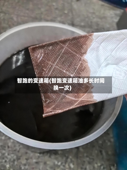 智跑的变速箱(智跑变速箱油多长时间换一次)-第2张图片