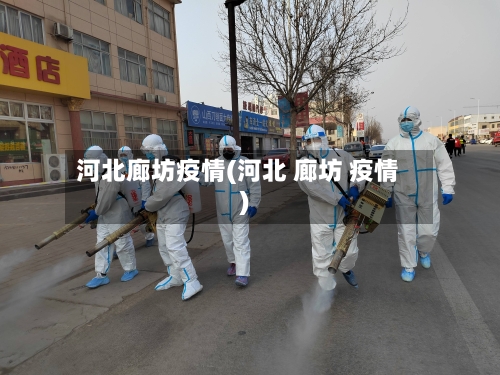 河北廊坊疫情(河北 廊坊 疫情)-第3张图片