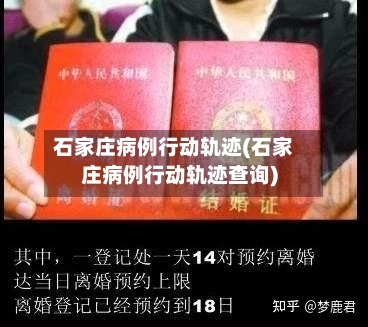 石家庄病例行动轨迹(石家庄病例行动轨迹查询)-第3张图片